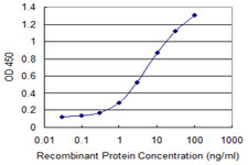 Detection limit for recombinant GST tagged RGS14 is 0.1 ng/ml as a capture antibody.