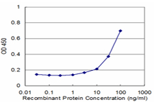 Detection limit for recombinant GST tagged PSMA1 is approximately 3 ng/ml as a capture antibody.