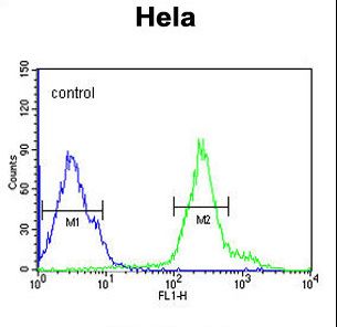 RGS22 Antibody flow cytometry of HeLa cells (right histogram) compared to a negative control cell (left histogram). FITC-conjugated goat-anti-rabbit secondary antibodies were used for the analysis.