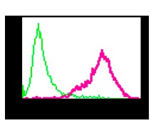 Flow cytometry of permeabilized PC-12 cells using anti- RGS9 antibody (red)or a rabbit IgG (negative) (green).