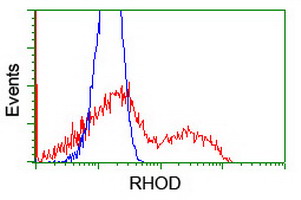 HEK293T cells transfected with either overexpress plasmid (Red) or empty vector control plasmid (Blue) were immunostained by anti-RHOD antibody, and then analyzed by flow cytometry.