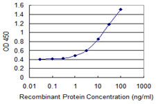Detection limit for recombinant GST tagged RND3 is 0.3 ng/ml as a capture antibody.