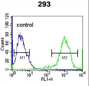 RHOXF2 Antibody flow cytometry of 293 cells (right histogram) compared to a negative control cell (left histogram). FITC-conjugated goat-anti-rabbit secondary antibodies were used for the analysis.