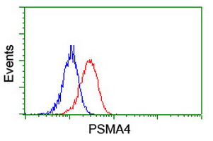 Flow cytometry of Jurkat cells, using anti-PSMA4 antibody (Red), compared to a nonspecific negative control antibody (Blue).