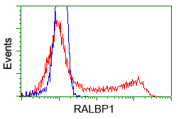 HEK293T cells transfected with either pCMV6-ENTRY RALBP1 (Red) or empty vector control plasmid (Blue) were immunostained with anti-RALBP1 mouse monoclonal, and then analyzed by flow cytometry.