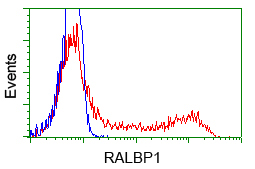 HEK293T cells transfected with either pCMV6-ENTRY RALBP1 (Red) or empty vector control plasmid (Blue) were immunostained with anti-RALBP1 mouse monoclonal, and then analyzed by flow cytometry.
