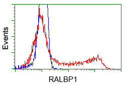 HEK293T cells transfected with either pCMV6-ENTRY RALBP1 (Red) or empty vector control plasmid (Blue) were immunostained with anti-RALBP1 mouse monoclonal, and then analyzed by flow cytometry.