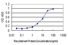 Detection limit for recombinant GST tagged RIT2 is approximately 0.3 ng/ml as a capture antibody.