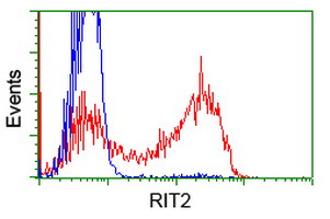 HEK293T cells transfected with either overexpress plasmid (Red) or empty vector control plasmid (Blue) were immunostained by anti-RIT2 antibody, and then analyzed by flow cytometry.