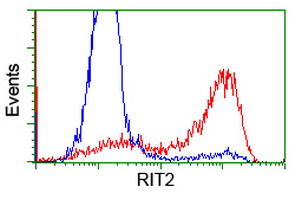 HEK293T cells transfected with either overexpress plasmid (Red) or empty vector control plasmid (Blue) were immunostained by anti-RIT2 antibody, and then analyzed by flow cytometry.
