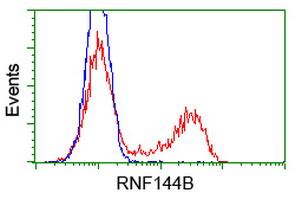 HEK293T cells transfected with either pCMV6-ENTRY RNF144B (Red) or empty vector control plasmid (Blue) were immunostained with anti-RNF144B mouse monoclonal, and then analyzed by flow cytometry.