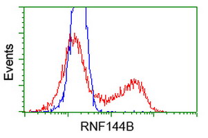 HEK293T cells transfected with either pCMV6-ENTRY RNF144B (Red) or empty vector control plasmid (Blue) were immunostained with anti-RNF144B mouse monoclonal, and then analyzed by flow cytometry.