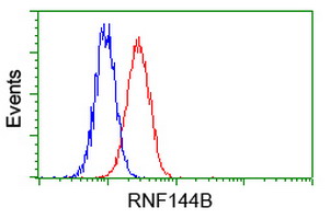 Flow cytometry of HeLa cells, using anti-RNF144B antibody, (Red) compared to a nonspecific negative control antibody (Blue).