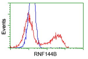 HEK293T cells transfected with either pCMV6-ENTRY RNF144B (Red) or empty vector control plasmid (Blue) were immunostained with anti-RNF144B mouse monoclonal, and then analyzed by flow cytometry.