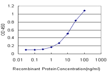 Detection limit for recombinant GST tagged RNPEP is approximately 0.3 ng/ml as a capture antibody.