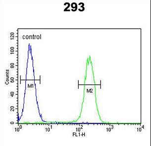 Roundabout 4 Antibody flow cytometry of 293 cells (right histogram) compared to a negative control cell (left histogram). FITC-conjugated goat-anti-rabbit secondary antibodies were used for the analysis.