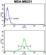 RPGRIP1 Antibody flow cytometry of MDA-MB231 cells (bottom histogram) compared to a negative control cell (top histogram). FITC-conjugated goat-anti-rabbit secondary antibodies were used for the analysis.