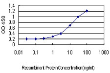 Detection limit for recombinant GST tagged RPL10 is approximately 0.3 ng/ml as a capture antibody.