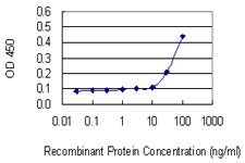 Detection limit for recombinant GST tagged RPL18A is 10 ng/ml as a capture antibody.