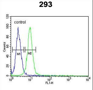 RPL18A Antibody flow cytometry of 293 cells (right histogram) compared to a negative control cell (left histogram). FITC-conjugated goat-anti-rabbit secondary antibodies were used for the analysis.