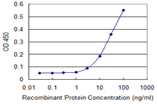 Detection limit for recombinant GST tagged RPLP0 is 1 ng/ml as a capture antibody.