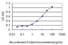 Detection limit for recombinant GST tagged RPN1 is approximately 1 ng/ml as a capture antibody.