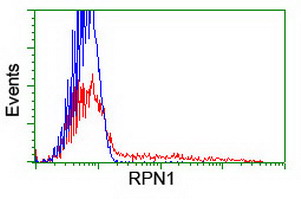 HEK293T cells transfected with either overexpress plasmid (Red) or empty vector control plasmid (Blue) were immunostained by anti-RPN1 antibody, and then analyzed by flow cytometry.