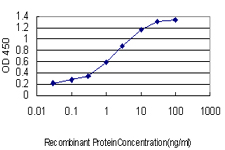 Detection limit for recombinant GST tagged P15RS is approximately 0.03 ng/ml as a capture antibody.