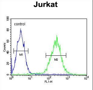RPR1B Antibody flow cytometry of Jurkat cells (right histogram) compared to a negative control cell (left histogram). FITC-conjugated goat-anti-rabbit secondary antibodies were used for the analysis.