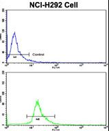 Flow cytometric of NCI-H292 cells using CD201 Antibody (bottom histogram) compared to a negative control cell (top histogram). FITC-conjugated goat-anti-rabbit secondary antibodies were used for the analysis.