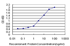 Detection limit for recombinant GST tagged RPS2 is approximately 0.03 ng/ml as a capture antibody.