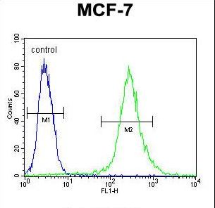 RPS24 Antibody flow cytometry of MCF-7 cells (right histogram) compared to a negative control cell (left histogram). FITC-conjugated goat-anti-rabbit secondary antibodies were used for the analysis.