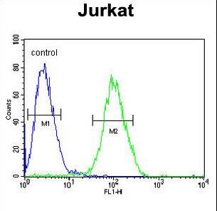RPS3A Antibody flow cytometry of Jurkat cells (right histogram) compared to a negative control cell (left histogram). FITC-conjugated goat-anti-rabbit secondary antibodies were used for the analysis.