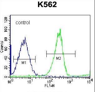 RPS4Y1 Antibody flow cytometry of K562 cells (right histogram) compared to a negative control cell (left histogram). FITC-conjugated goat-anti-rabbit secondary antibodies were used for the analysis.