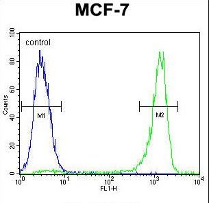 VEGF3 Antibody flow cytometry of MCF-7 cells (right histogram) compared to a negative control cell (left histogram). FITC-conjugated goat-anti-rabbit secondary antibodies were used for the analysis.