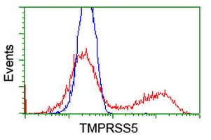 HEK293T cells transfected with either overexpress plasmid (Red) or empty vector control plasmid (Blue) were immunostained by anti-TMPRSS5 antibody, and then analyzed by flow cytometry.