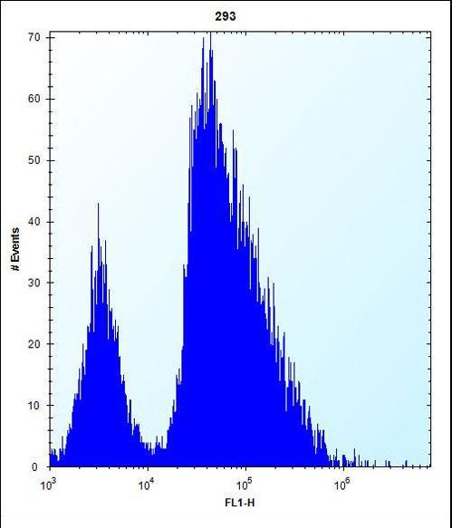 VSNL1 Antibody flow cytometry of 293 cells (right histogram) compared to a negative control cell (left histogram). FITC-conjugated goat-anti-rabbit secondary antibodies were used for the analysis.