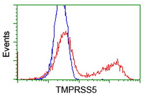 HEK293T cells transfected with either overexpress plasmid (Red) or empty vector control plasmid (Blue) were immunostained by anti-TMPRSS5 antibody, and then analyzed by flow cytometry.