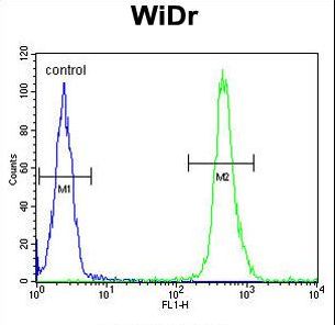 VPS26A Antibody flow cytometry of WiDr cells (right histogram) compared to a negative control cell (left histogram). FITC-conjugated goat-anti-rabbit secondary antibodies were used for the analysis.