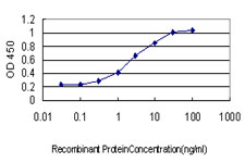Detection limit for recombinant GST tagged VPS72 is approximately 0.3 ng/ml as a capture antibody.