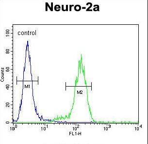 VWA3B Antibody flow cytometry of Neuro-2a cells (right histogram) compared to a negative control cell (left histogram). FITC-conjugated goat-anti-rabbit secondary antibodies were used for the analysis.