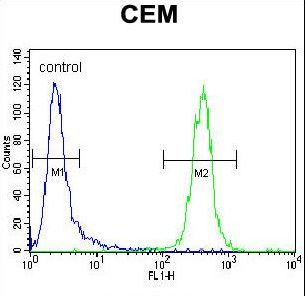 TNF Antibody flow cytometry of CEM cells (right histogram) compared to a negative control cell (left histogram). FITC-conjugated goat-anti-rabbit secondary antibodies were used for the analysis.
