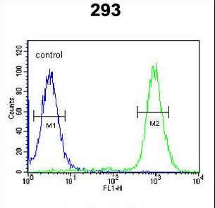 BRWD2 Antibody flow cytometry of 293 cells (right histogram) compared to a negative control cell (left histogram). FITC-conjugated goat-anti-rabbit secondary antibodies were used for the analysis.