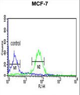 WDR37 Antibody flow cytometry of MCF-7 cells (right histogram) compared to a negative control cell (left histogram). FITC-conjugated goat-anti-rabbit secondary antibodies were used for the analysis.