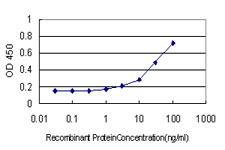 Detection limit for recombinant GST tagged WDR4 is approximately 1 ng/ml as a capture antibody.
