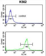 WDSUB1 Antibody flow cytometry of K562 cells (bottom histogram) compared to a negative control cell (top histogram). FITC-conjugated goat-anti-rabbit secondary antibodies were used for the analysis.