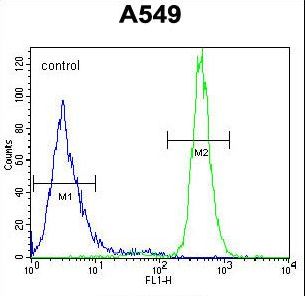 WFDC12 Antibody flow cytometry of A549 cells (right histogram) compared to a negative control cell (left histogram). FITC-conjugated goat-anti-rabbit secondary antibodies were used for the analysis.
