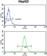 TNFAIP2 Antibody flow cytometry of HepG2 cells (bottom histogram) compared to a negative control cell (top histogram). FITC-conjugated goat-anti-rabbit secondary antibodies were used for the analysis.
