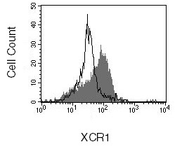 LPS-treated PBMCs were stained with anti-XCR1 (filled histogram), or control antibody (open histogram) followed by PE-conjugated anti-goat antibody.