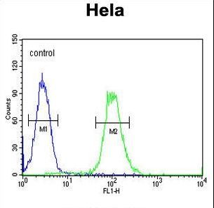 XRCC6 Antibody flow cytometry of HeLa cells (right histogram) compared to a negative control cell (left histogram). FITC-conjugated goat-anti-rabbit secondary antibodies were used for the analysis.